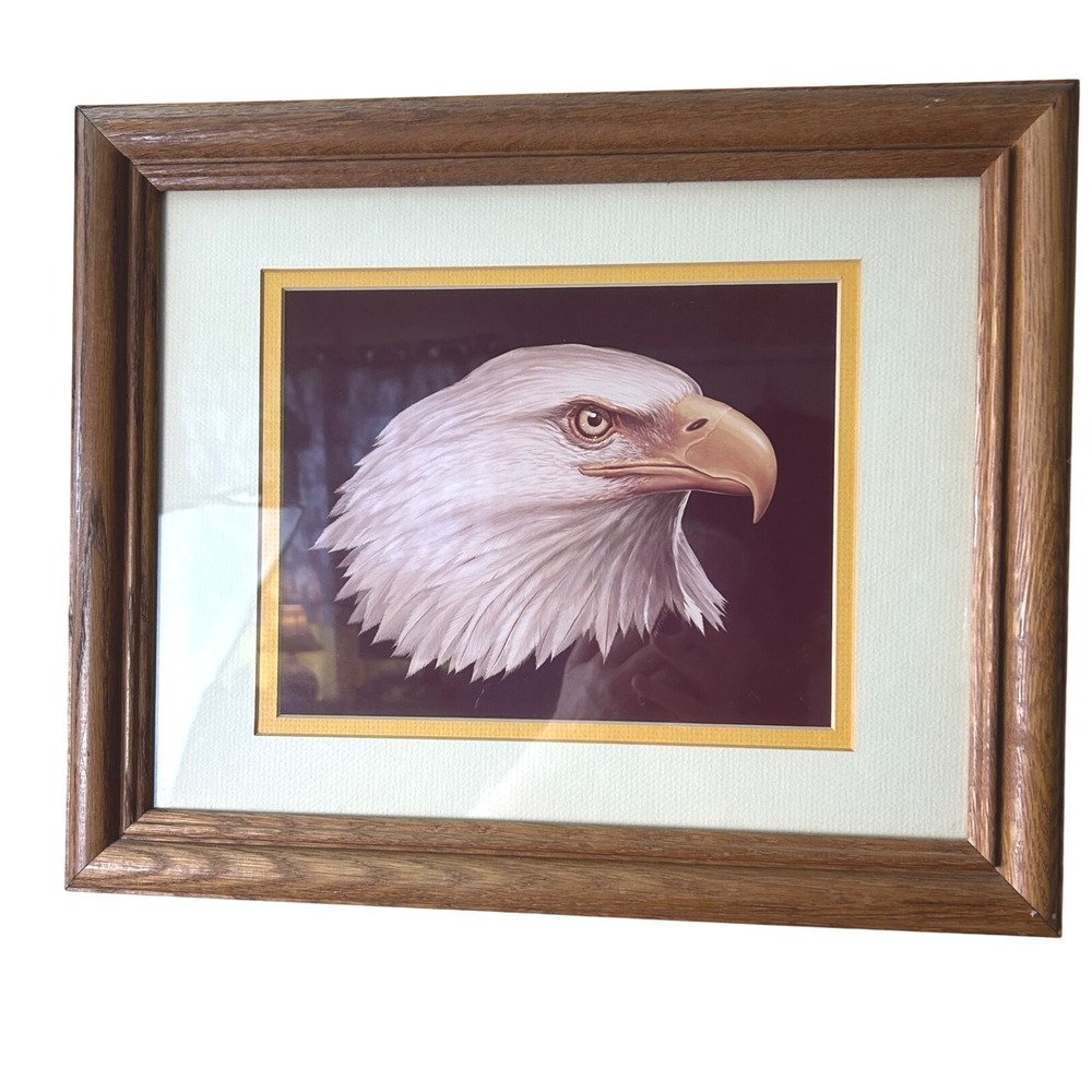 Framed Bald Eagle Art Print, Wildlife Artwork, Home‎ Decor, Wall Hanging